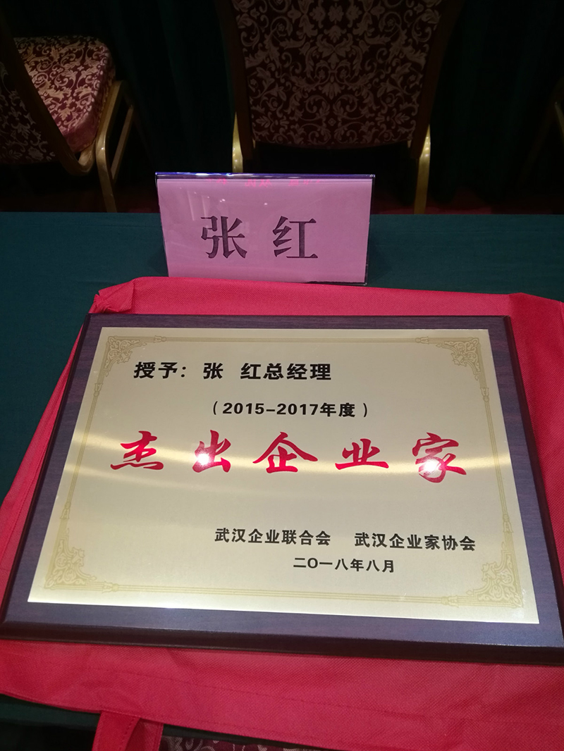 热烈祝贺大花岭集团总经理张红荣获第十七届武汉市杰出企业家荣誉称号